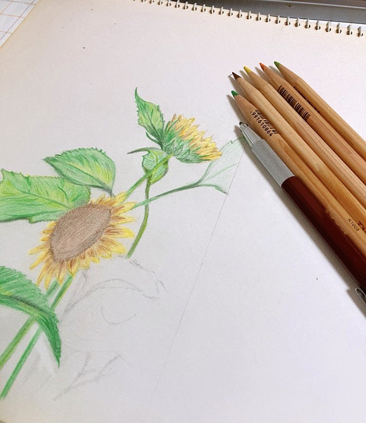 最近、また1つ、絵を描き始めました🖼

以前、お花やお寺の絵を投稿しました
描いている時は集中出来るので、楽しい時間になります

絵を習ったことはないので自己流ということもお伝え済みです

ダーリンにだけ完成品を見てもらう予定です🌻
今のところダーリンに褒めてもらいました😆