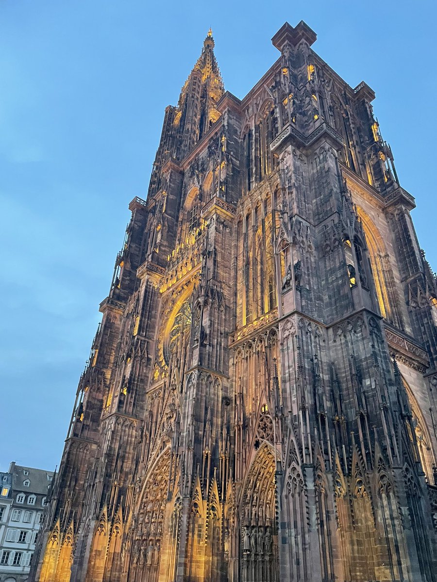 📍Cathédrale Notre-Dame-de-Strasbourg