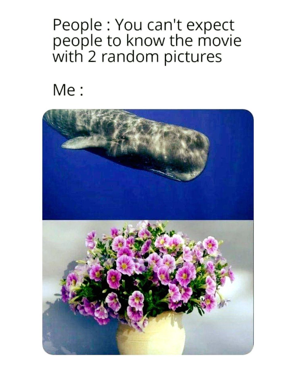 Seth Andrews (@sethandrewstta) on Twitter photo 