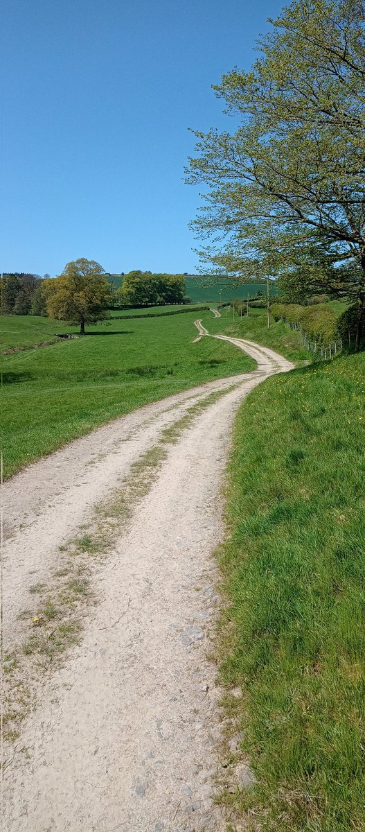iankstanley's tweet photo. After a week of reflection. I was definitely 99% over packed. Fantastic weather and scenery along Jack Mytton Way. Huge effort but views and experience worth it.
Specialized pathfinder pro tyres worked a treat in the mud and dry. https://t.co/clKEOEDZ8t