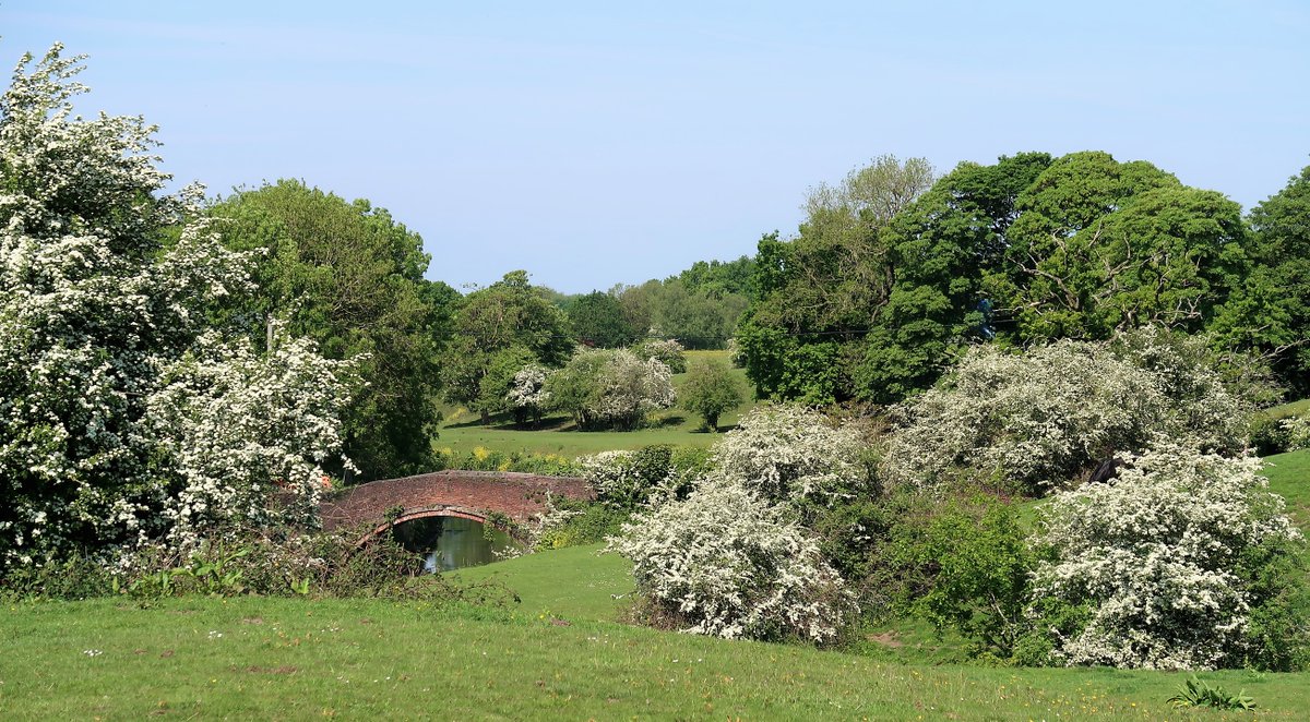 The Woolden Road Bridge over Glaze Brook, Cadishead Moss.