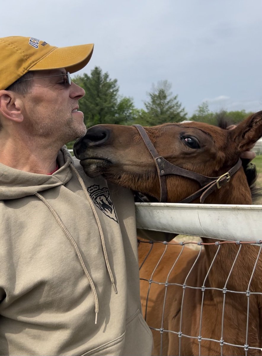 mjlstox1's tweet photo. #Saratoga day trip , visit Queendom Filly , by #KingForADay ! She loves hugs and kisses ! πππ #FutureRunner @ladererstables @P90608058P @mrsidney2008 https://t.co/FXTGtHmG9j