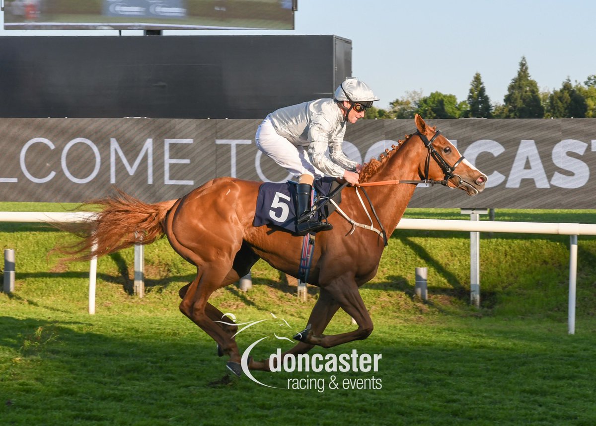 DoncasterRaces's tweet photo. RACE 4 RESULT- British EBF Ruby Anniversary Fillies' Handicap
π
Good Morals
Jockey:#JoeFanning
Trainer: Charlie Johnston
Owner(s): Sheikh Hamdan bin Mohammed Al Maktoum
Photo by @nigekirby https://t.co/A55yKWbJ3c