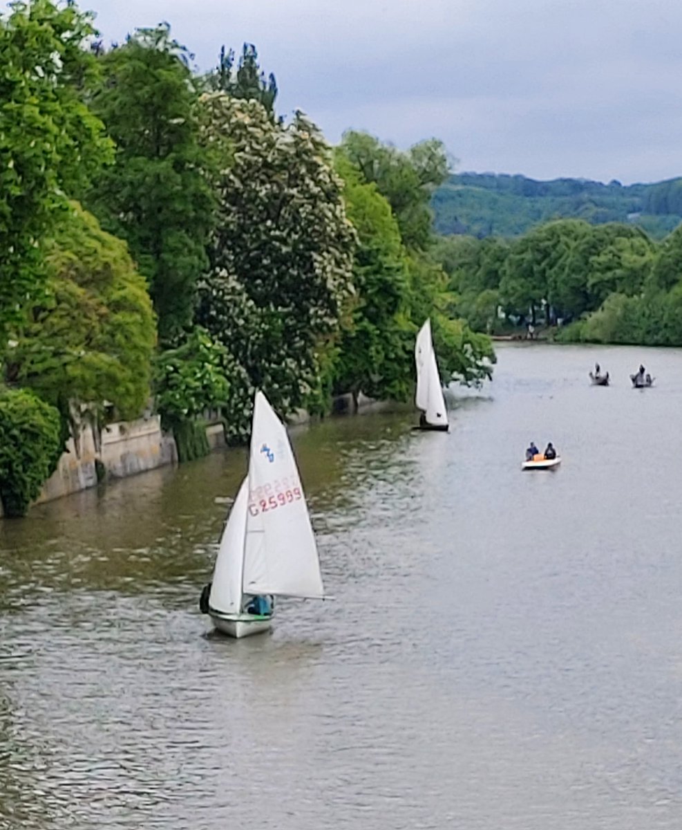 Neben Ruder- und Tretbooten, SUP und Stocherkähnen, sind auch Segler auf dem Neckar in #Tübingen unterwegs. Die haben Vorfahrt, weil sie nur mit Wind navigieren können! Auf dem Wasser "sein" ist einfach großartig!