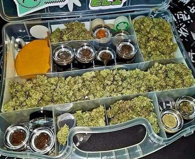 FewPinkRoses's tweet photo. Fuck Seductive Saturdays, give your man a real treat... @KingAndKilla you can see me naked any time.

Plus you don't have the no weed before 9am rule. https://t.co/TVEhyBJBNU