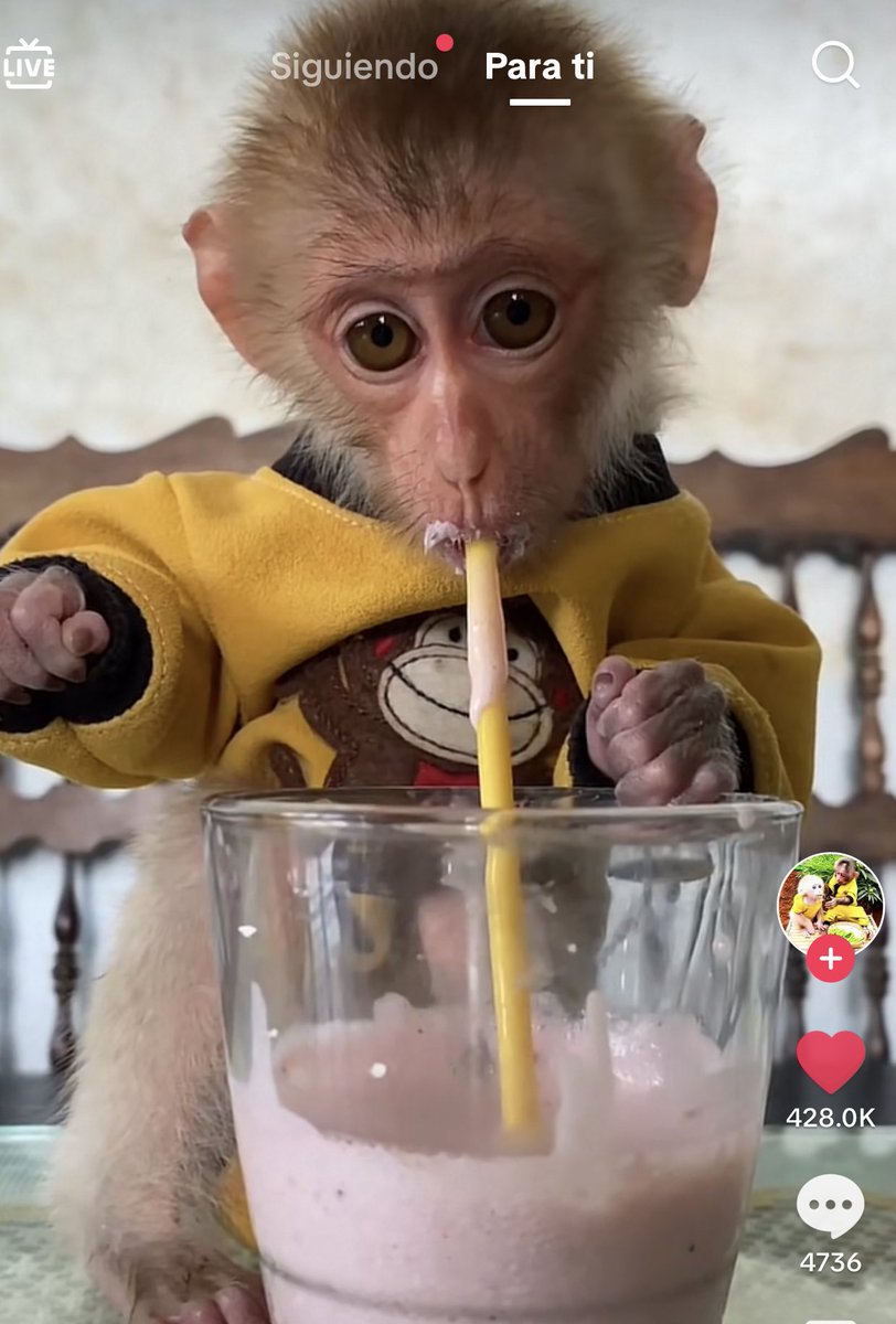 el justin de culiacan tweet media