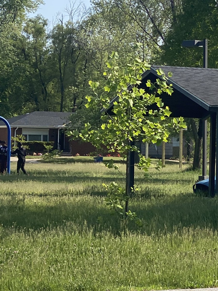 affablespirit's tweet photo. @GaryMayorPrince @BelieveInGary -This is the Glen Ryan Park. Kids are being forced to play in parks that look like this. It hasn’t been cut or manicured in any way. They deserve better. https://t.co/zNzi3WmeUl
