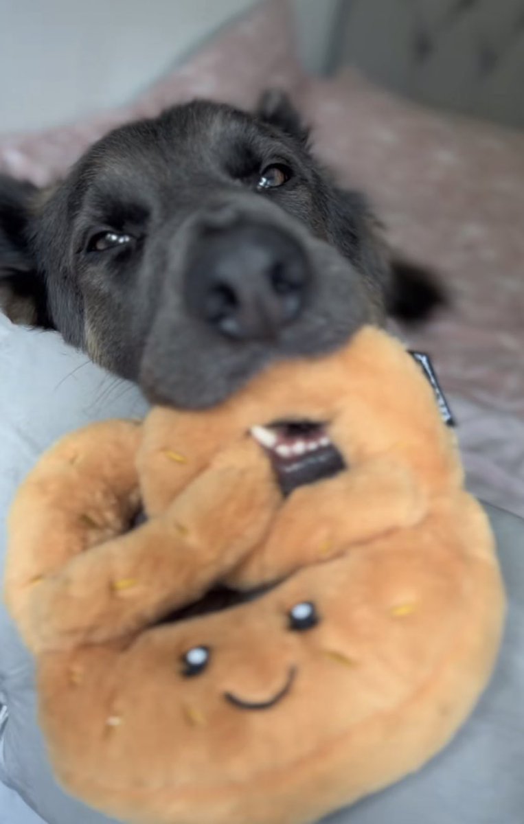 ceej 🐢 tweet media