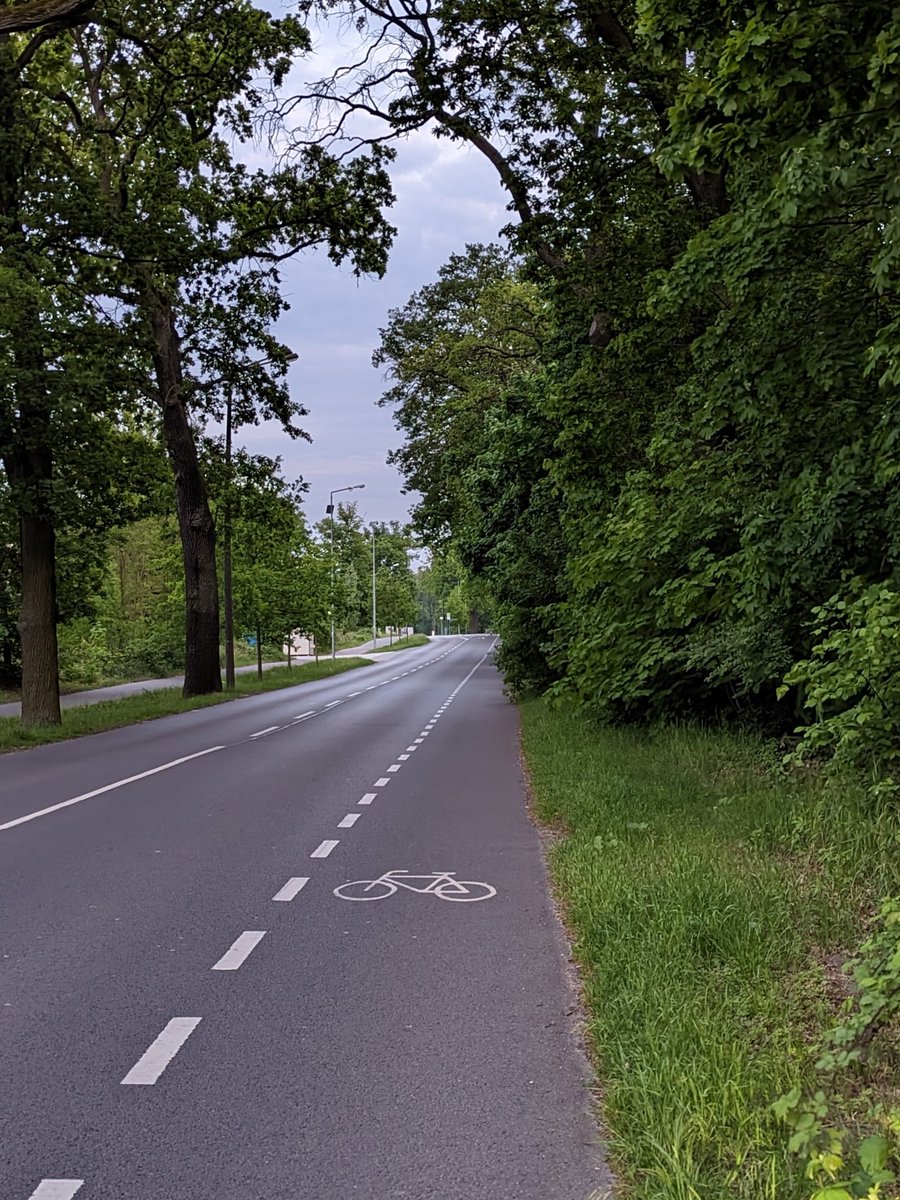 aufgeraucht's tweet photo. Potsdam ist die grünste Großstadt Deutschlands. Warum sie nicht auch die fahrradfreundlichste ist? Aber schön grün isses. 😏 https://t.co/CeqtCycr97