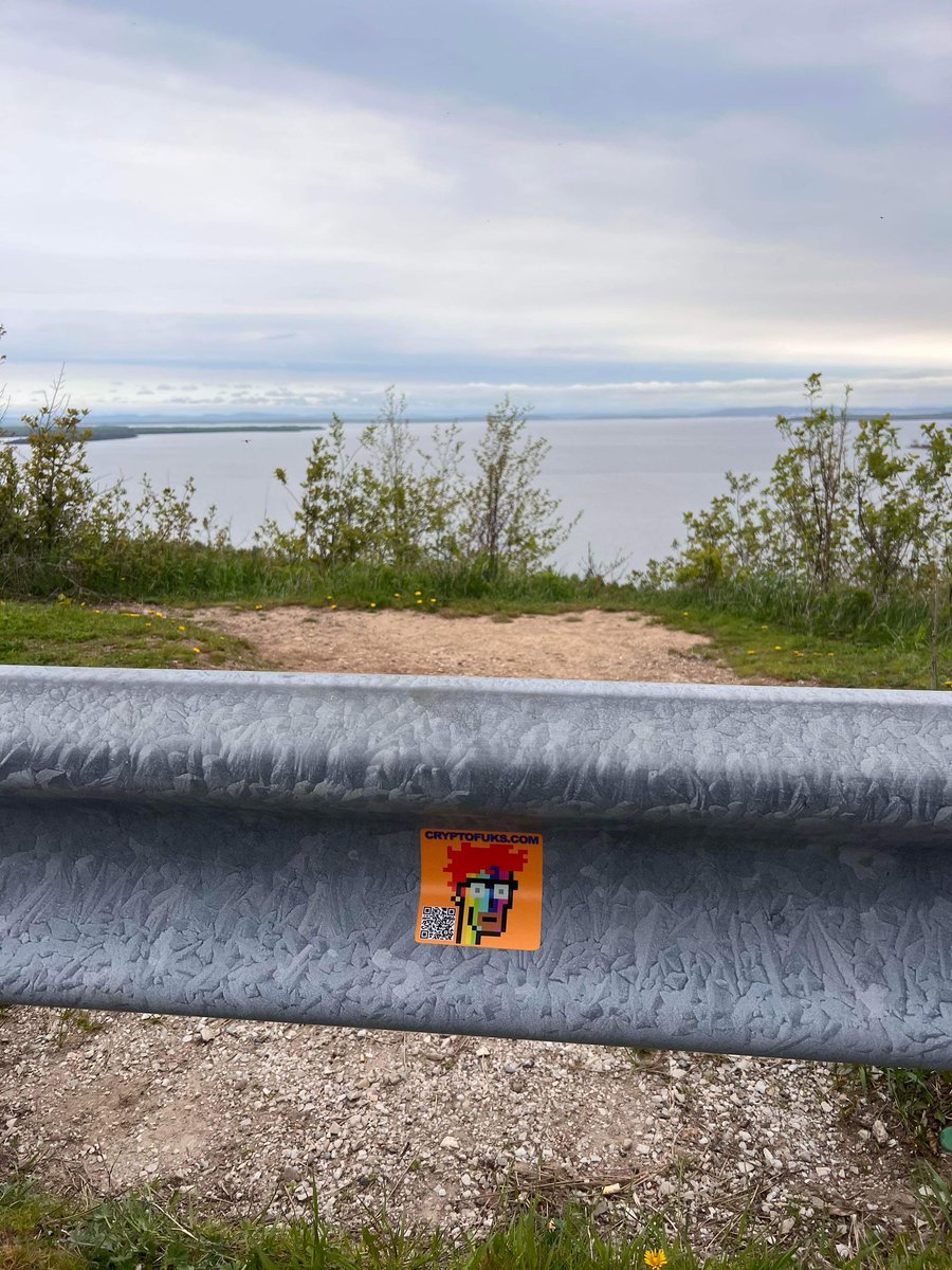 Can you find the fuks on Manitoulin Island, Canada 🇨🇦? 
Fuks fan mail. Send us your sticker location. 
#manitoulinisland #cryptofuks #ethereum #nfts #eth