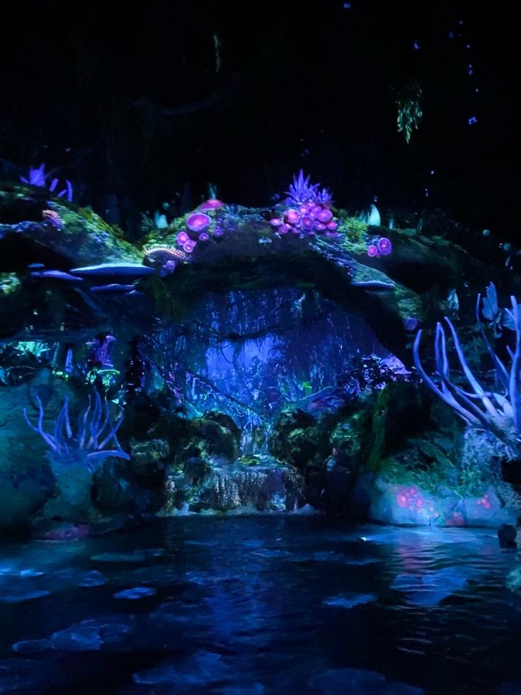 [🔮] . . . #RockstarsxDisneyland

¡Seguimos disfrutando de Disney! Hoy con mis Rockstars y los peques fuimos a recorrer el espectacular parque de Pandora del mundo de Avatar donde quede totalmente alucinada por lo hermoso y mágico que es, sin dudas nos divertimos mucho.💜