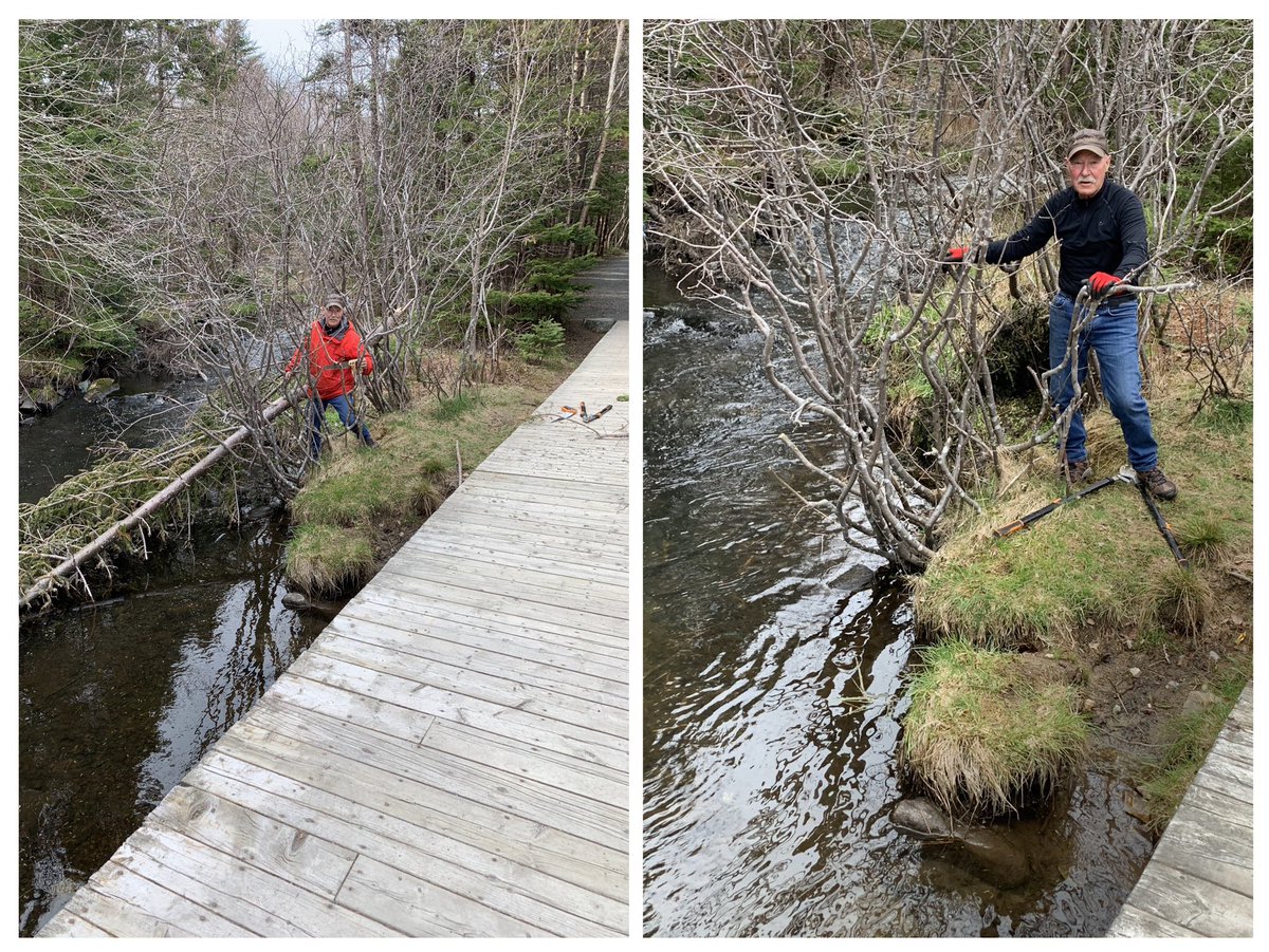 Joan4Fitz's tweet photo. Tree in Virginia River @ Adam’s Rest.  There it was - GONE.  Yah!!!   Senior Citizen cut it in pieces &amp; removed from river.  It was an eyesore &amp; collecting lots of debris.  @CityofStJohns @Grand_Concourse @PedestrianTrail https://t.co/WP9dbxuVgM