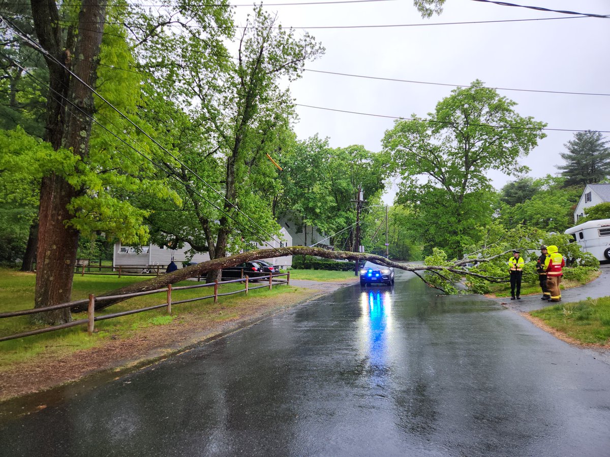 Tree down on wires on Cedar Street. Avoid the area. #wilmingtonfire
