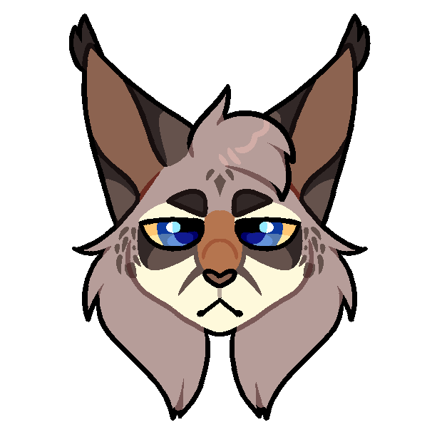 pubbii_wc's tweet photo. im back! back to drawing kitties <3 https://t.co/iHHm2H0JsP