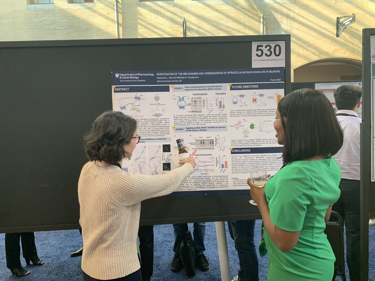 <a href="/MatthewKlauer/">Matt Klauer</a> and <a href="/_katherinehall_/">Katherine Hall</a>  giving excellent poster presentations at #ASPET2023.