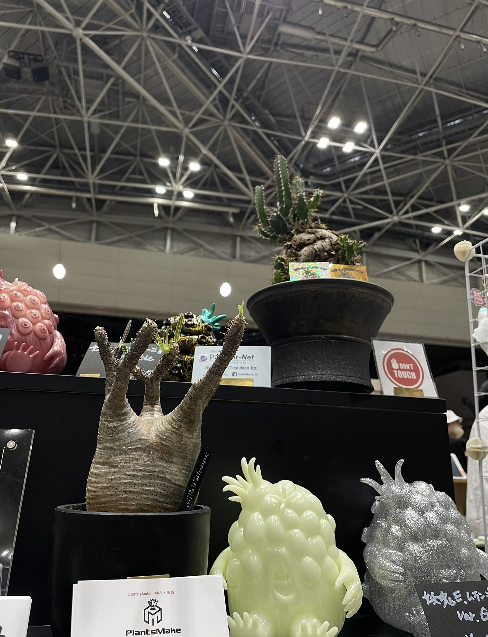 PlantsMake (@Plants_Make29) / X PlantsMake (@Plants_Make29) / X