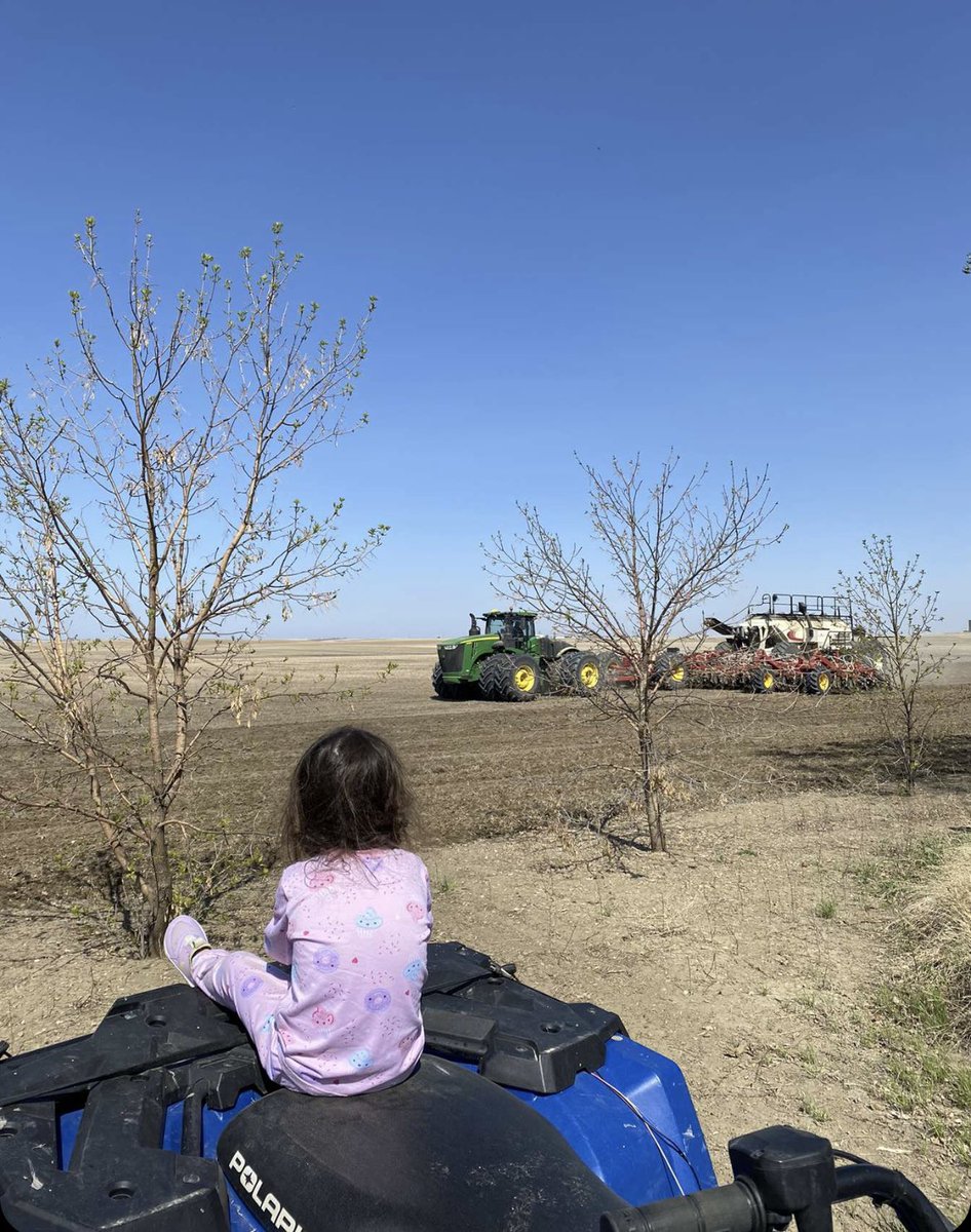 Cory Hodgins tweet media