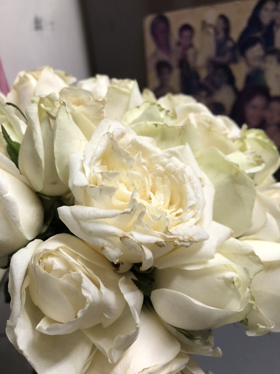 I have been following for 5 days now. 
<a href="/shreysehgal/">shrey sehgal</a> <a href="/Floweraura/">Flower Aura</a> 
Pls refund my full amount. You have insulted me &amp; my mother. Broken Vase and Dirty flowers. Pls refund full amount. Order Id: 7125355
<a href="/Arunbothra/">Arun Bothra 🇮🇳</a> <a href="/googlemybiz/">Google Business Profile</a>
<a href="/coool_kashish/">Kanchan Negi</a>