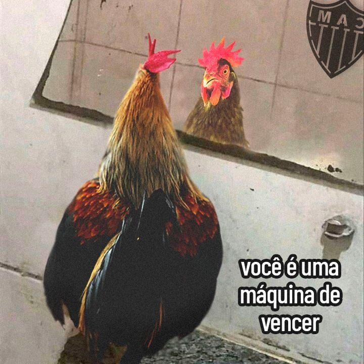 Iamslaman's tweet photo. @elias_rdrgs https://t.co/KNveCrxDIL