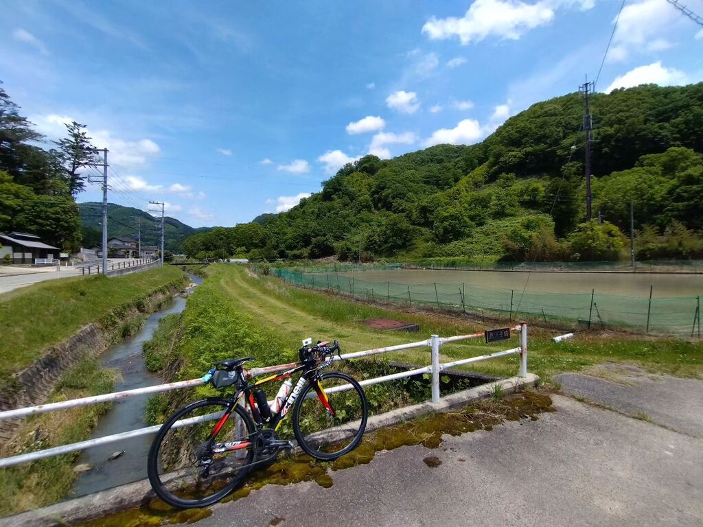 T3tryt's tweet photo. ホトトギスにはまだ早い
#cinelli #roadbike #チネリ #cinellistratofaster #roadbike https://t.co/qnODrvwa4g https://t.co/rGre3LcQY5