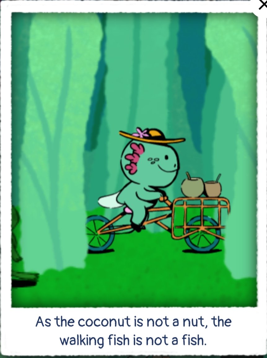 ¿Ya vieron el Google doodle de hoy con todo y ajolotito ciclista? Está bien bonito g.co/doodle/cwbkzhk