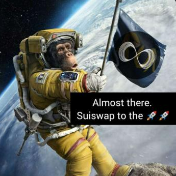 Nguyễn Long | Suiswap IDO 06/03 tweet media