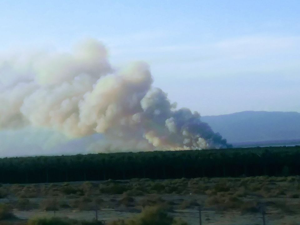 CodeRed001Blue's tweet image. Nino Sanfilippo picture #JohnsonFire