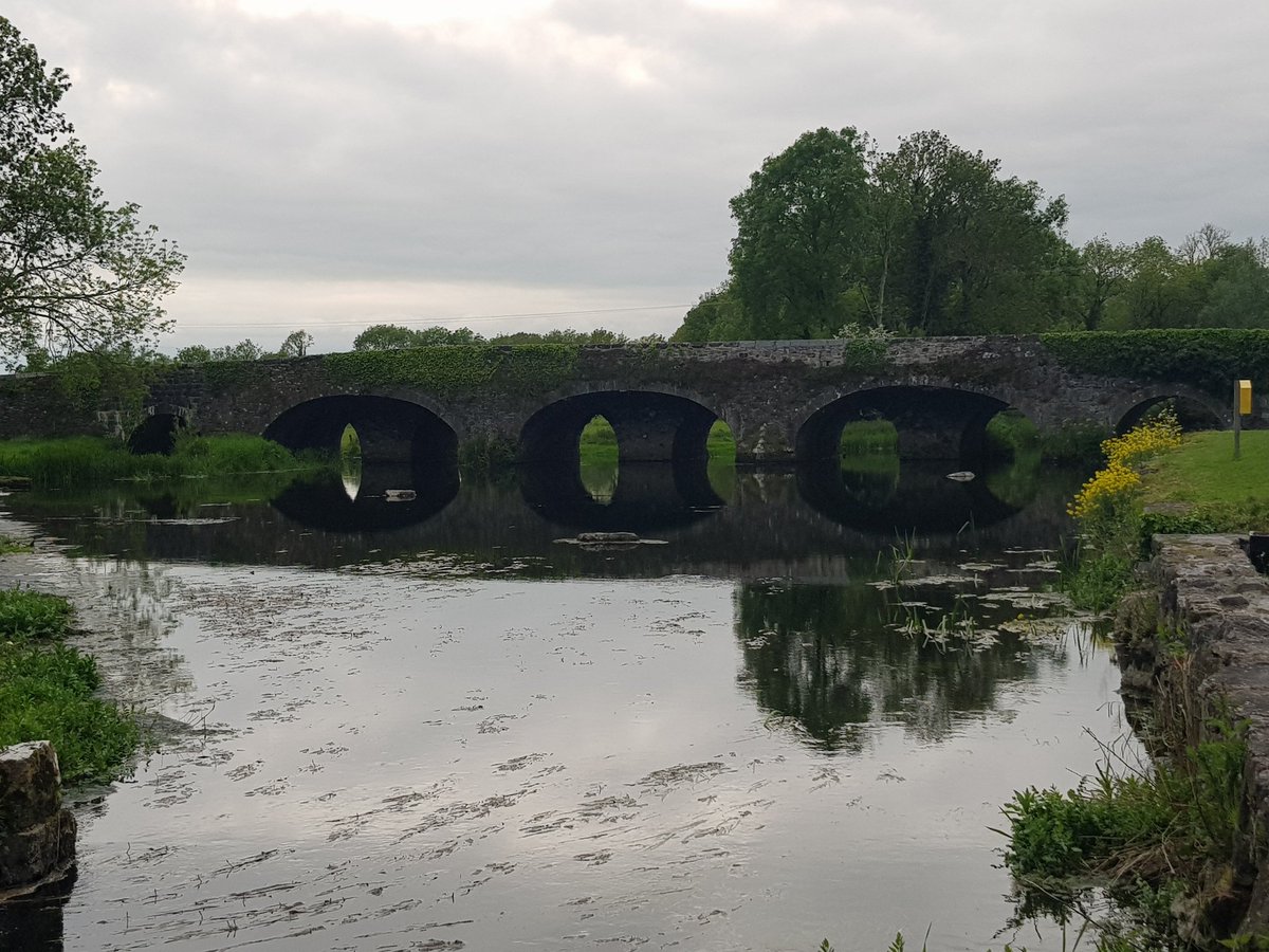 Bryan Daniels tweet media