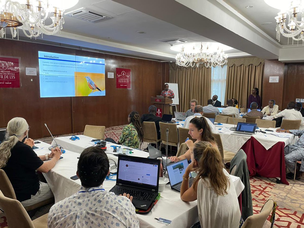 SamirMartins1's tweet photo. 📢 talking about the “sporadic #nesting event of #greenturtle, #oliveridley & #hawksbill #seaturtles on 🇨🇻” in the #mavafoundation International Scientific Symposium on the #Conservation of #Marine & #Coastal #Biodiversity in the West Africa
@rudford
#bioscaboverde
@prcmarine
🐢 https://t.co/buZPApGoUC