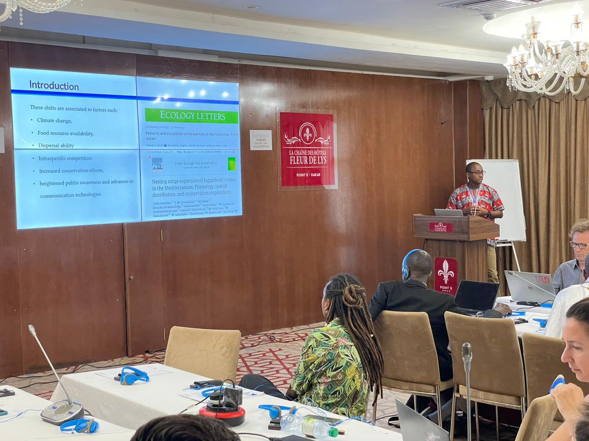 SamirMartins1's tweet photo. 📢 talking about the “sporadic #nesting event of #greenturtle, #oliveridley & #hawksbill #seaturtles on 🇨🇻” in the #mavafoundation International Scientific Symposium on the #Conservation of #Marine & #Coastal #Biodiversity in the West Africa
@rudford
#bioscaboverde
@prcmarine
🐢 https://t.co/buZPApGoUC