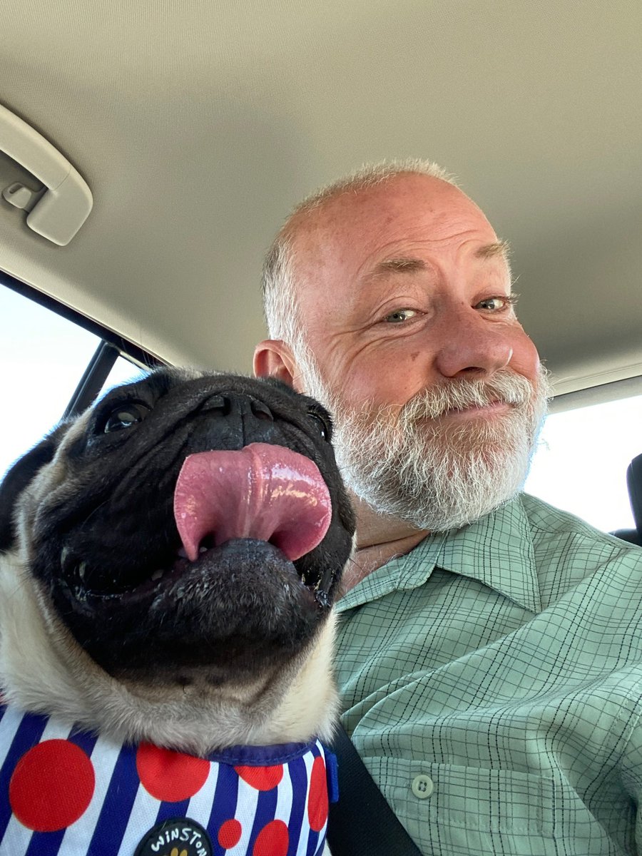 Happy #NationalRescueDogDay to all the rescue dogs out there living their best lives! We love our Benjamin who came all the way from China to find his Forever Home. #thepugqueenfamily #thenalongcamebenjamin