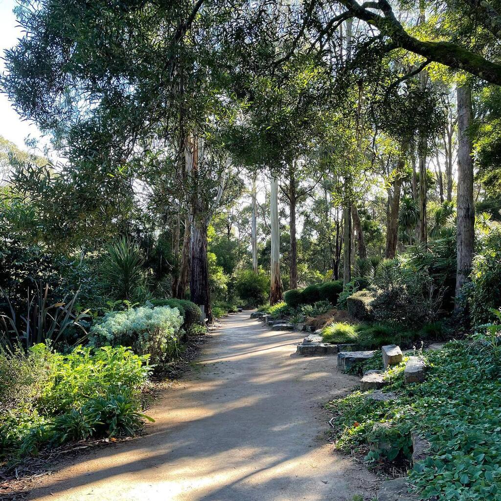 duncanWmaxwell's tweet photo. Yesterday morning at Garden of St Erth https://t.co/szPyZIw0hY https://t.co/Zp3koNRI90