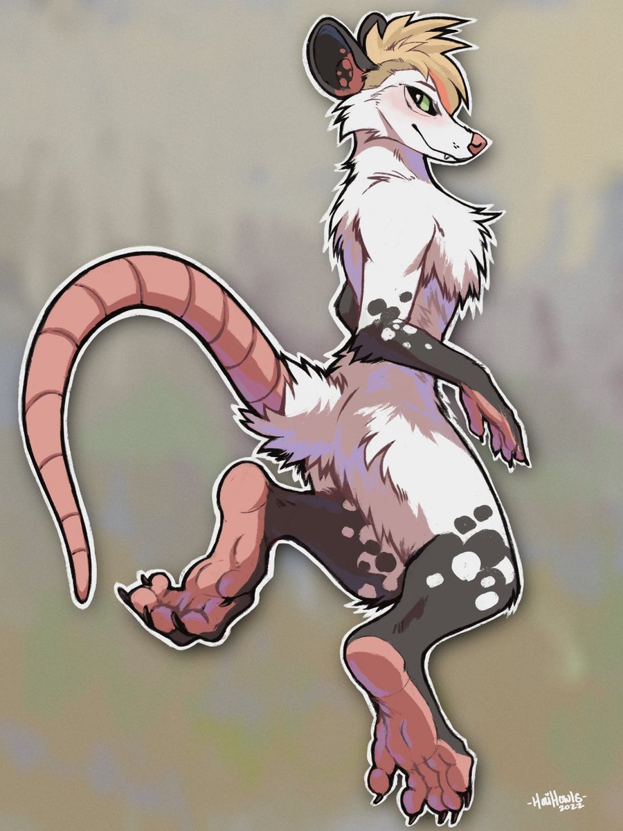 PeachOpossumAD's tweet photo. Happy #PawDay #pawday2023 Enjoy this year's contributions to my poss paw collection https://t.co/FM4cBjVZ3G