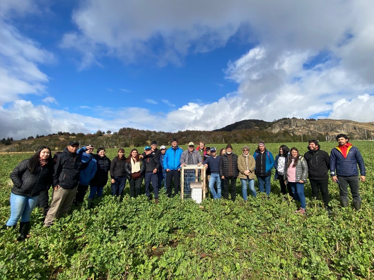 ECisternas9's tweet photo. Mostrando a estudiantes de la UACH diferentes técnicas de monitoreo de insectos que llevamos a cabo en estudios en cultivos forrajeros y plagas de praderas en INIA Tamel Aike en Aysén. LIBERTAS CAPITUR https://t.co/O0apgBP5qk