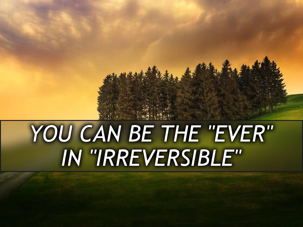 You can be the "Ever"
in "Irreversible"