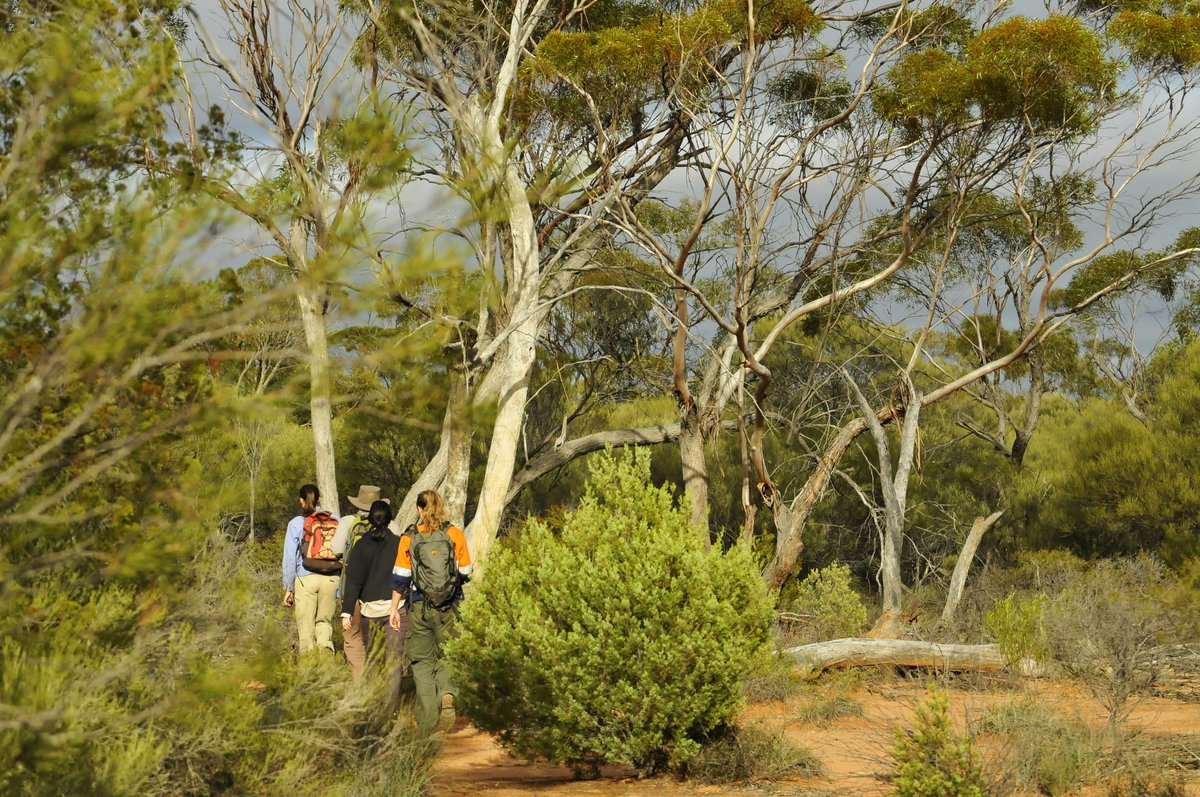 awconservancy tweet picture