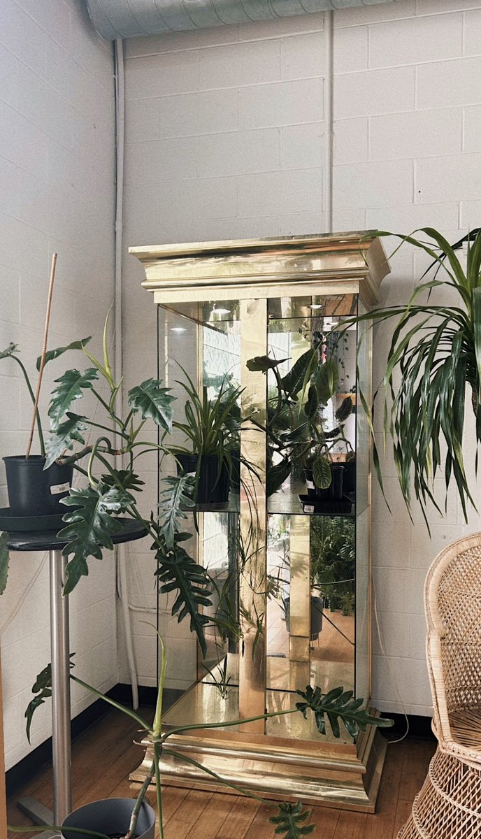 bigevilbug's tweet image. 