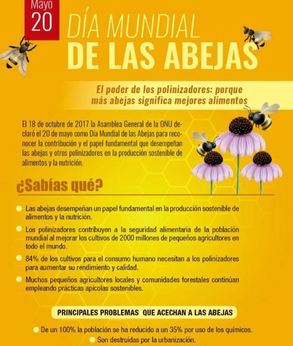 Protejamos a la #abejas.
#20DeMayo, #DiaMundialDeLasAbejas.
#Protejamoselplaneta, #CuidemoselMedioAmbiente.