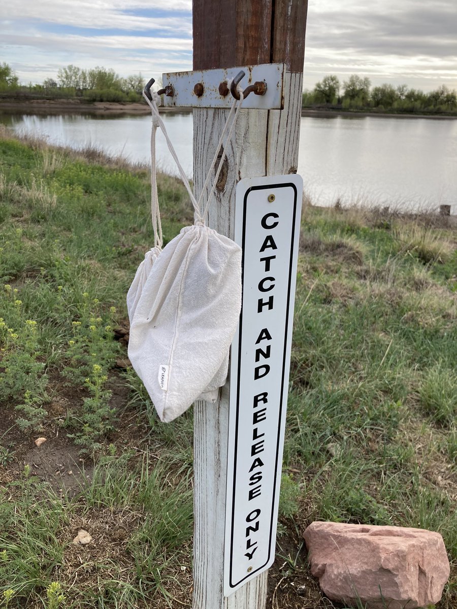 Lauryn Benedict tweet media