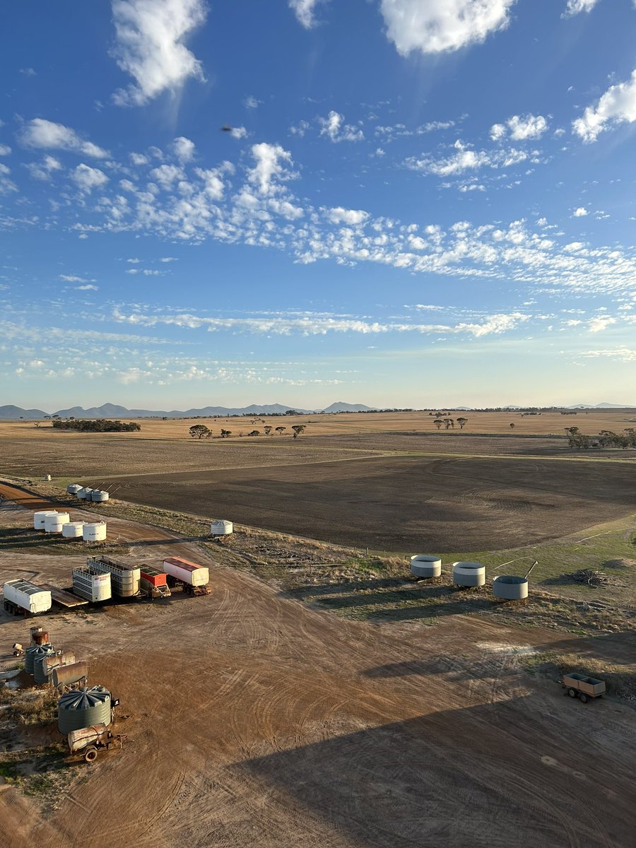 North Stirling Downs tweet media