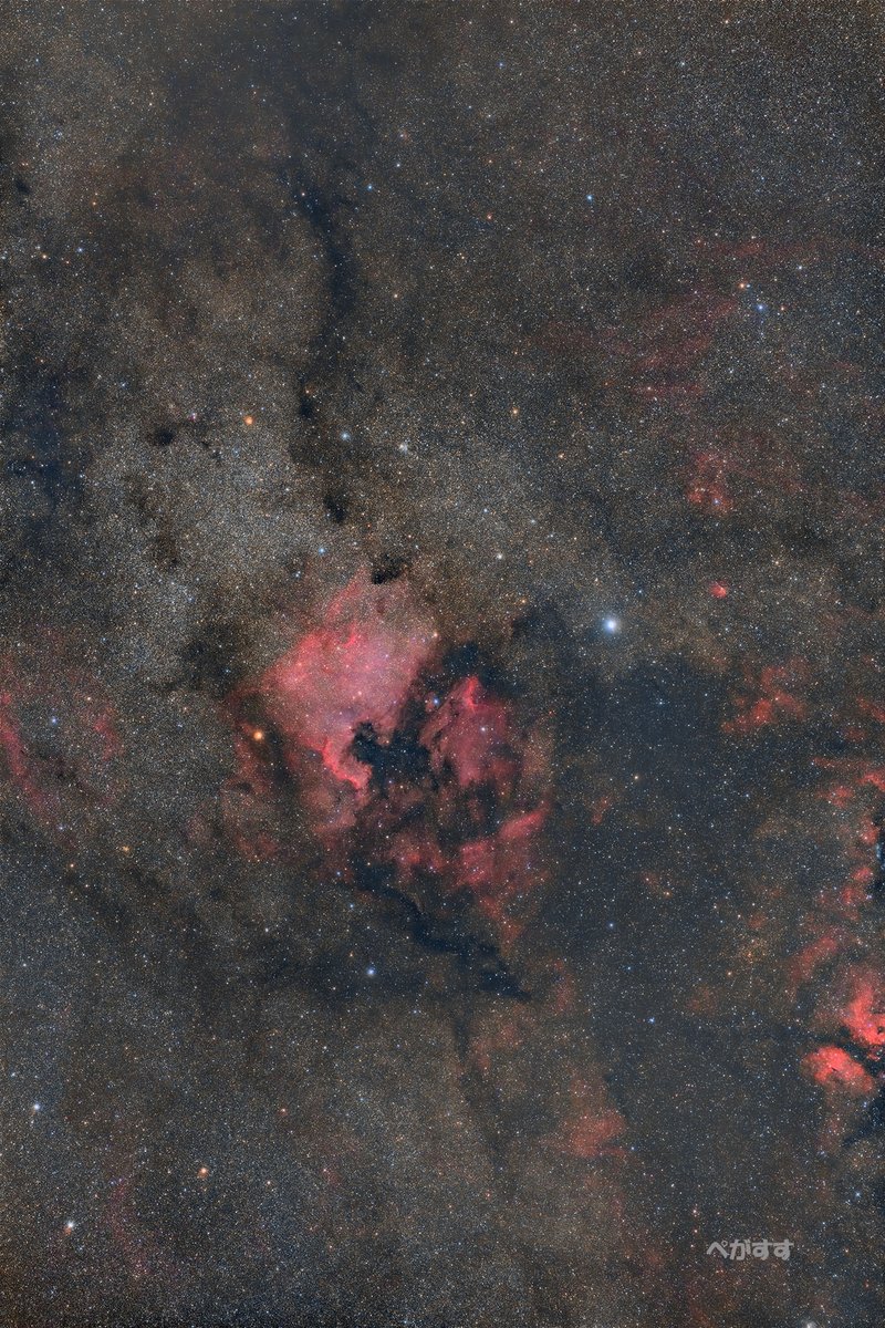 NGC7000付近　

これ見たのでほぼ夏到来　

前より星の色は出てそうなので、撮影条件見直して良かったかも👍　

5/16～　
APOSONNAR　T*135/2(F3.5）　
EOSRa　
1min×21枚　

#astrophotography