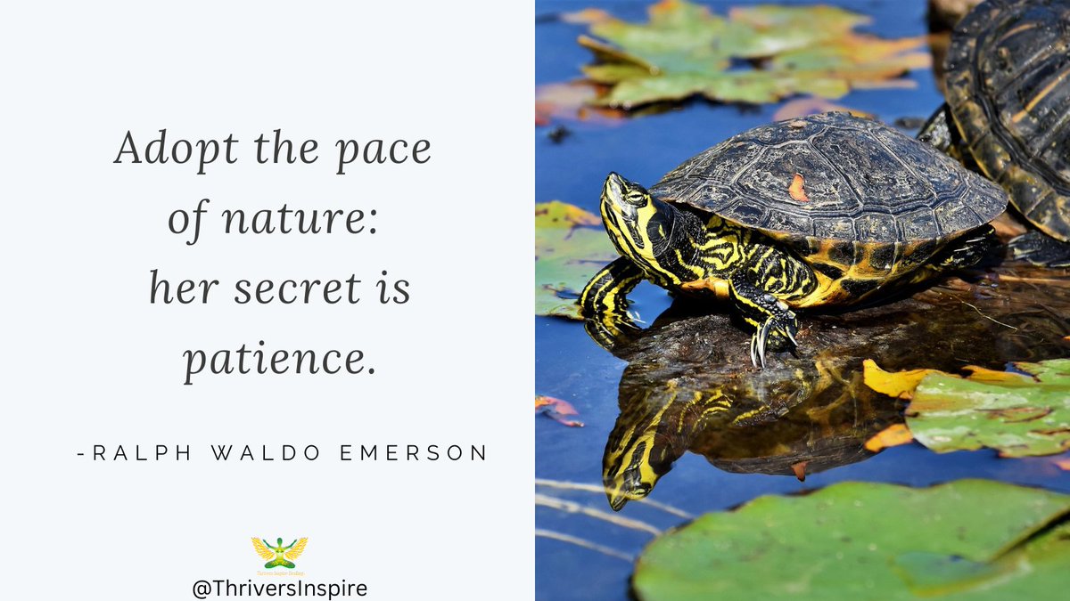 ThriversInspire's tweet image. Healing from illness is already a journey in itself. In my experience, time was a major factor I had to learn to respect. Not only did I have to pay close attention to what my body was telling me it needed, I also had to learn the value of time & patience.
#ThriversInspireHealing
