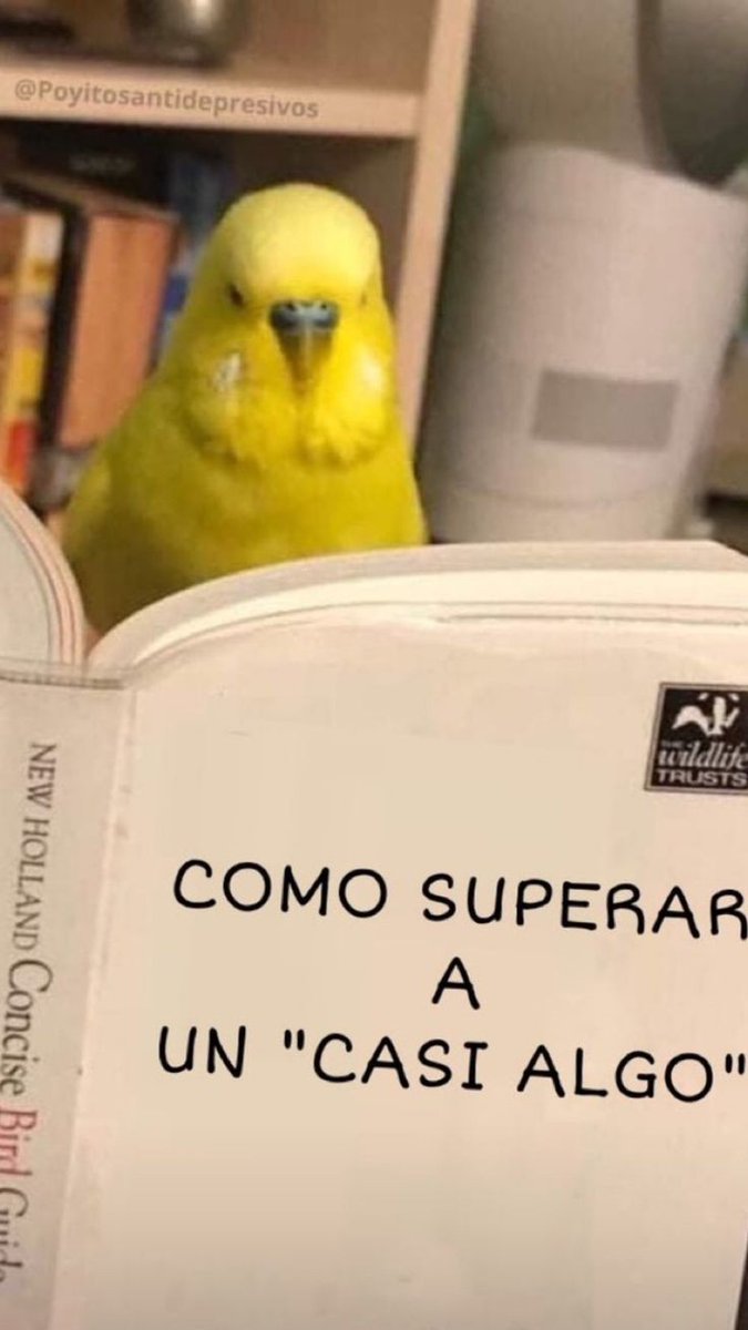 sampayo182's tweet photo. Tengo que leer este libro 📕 https://t.co/gPDNHYHrDW