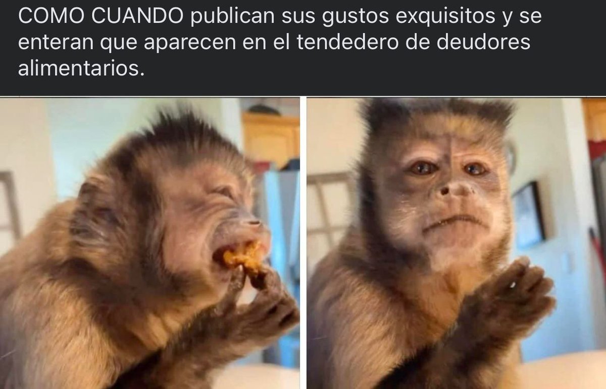 DianaLuzVa's tweet photo. Así varios #DeudoresAlimentarios...
#LeySabina
#PagaLaPension https://t.co/B6fd4RXyOy