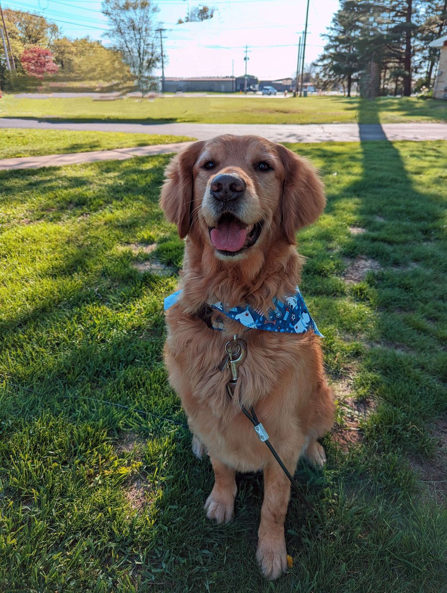 Marley got pampered today with a fresh grooming