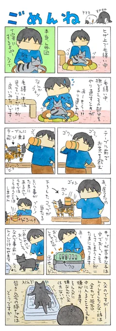 「猫の立場で」 猫には猫の思うところ。 人には人の思うところ。 (久保智昭さんの「猫色スケッチブック」)つづきはこちら⇒