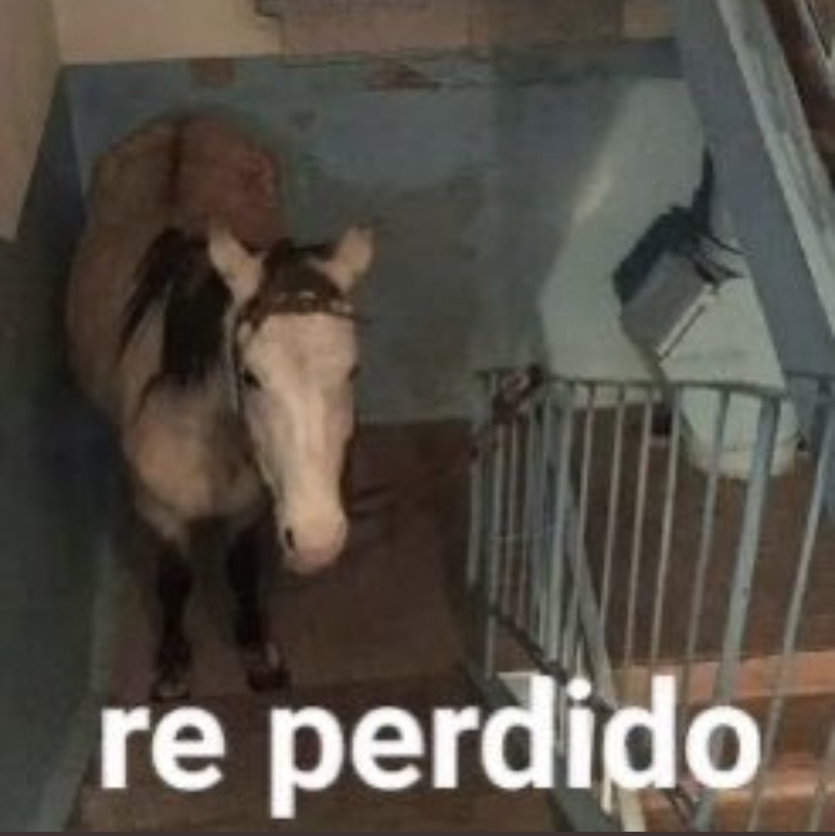 afipincomunica2's tweet photo. Un cliente paso de monotributo a responsable inscripto. Venía pagando IVA y le dio saldo a favor el mes pasado. Vino a preguntar cuando le depositaba la plata AFIP https://t.co/41quu27wRn