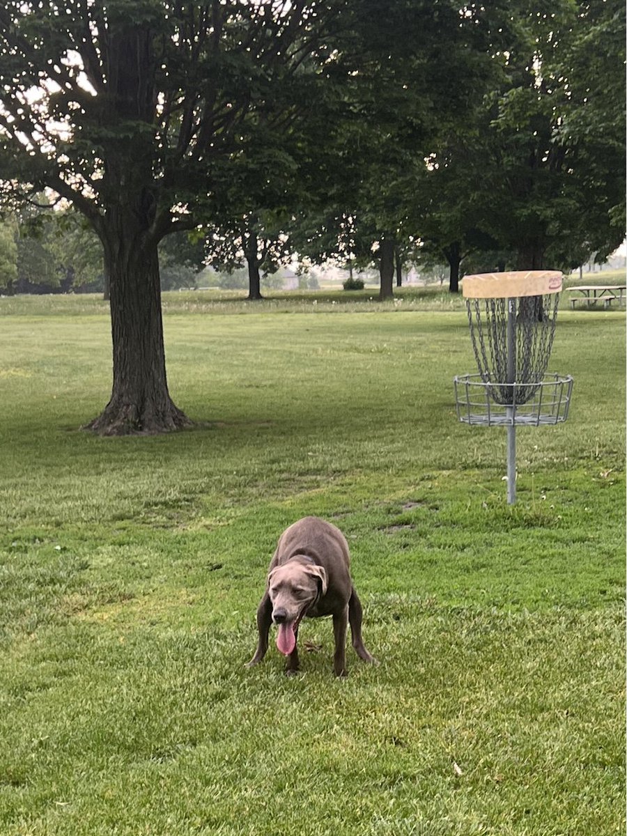 The poop has spoken.  We will be drawing the winner tomorrow at 5pm EST.  Follow the directions below to be eligible