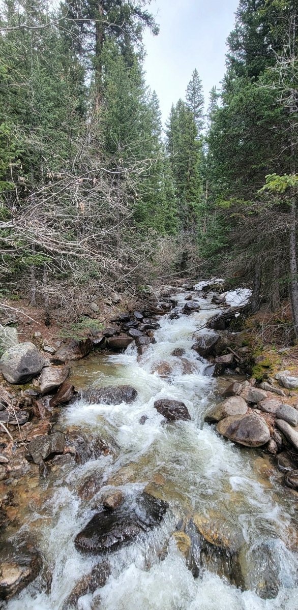 AshConsultingGr's tweet photo. First time coming back home to Denver since I moved to NYC last July. I asked a friend to drive me up to the mountains this afternoon. It's funny how you appreciate home in a deeper way when you leave. Colorado is a beautiful state. π²π»β°οΈ
#CellPhonePics
#NoFilter https://t.co/enjqCKOEal