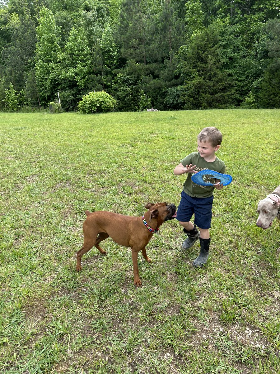 stayseatalks's tweet image. My nephew Bentley loves playing with our dogs 🐶 🩵 #nephew #bestoftwitter #dailydoseofgood #fyptiktok #FYP
